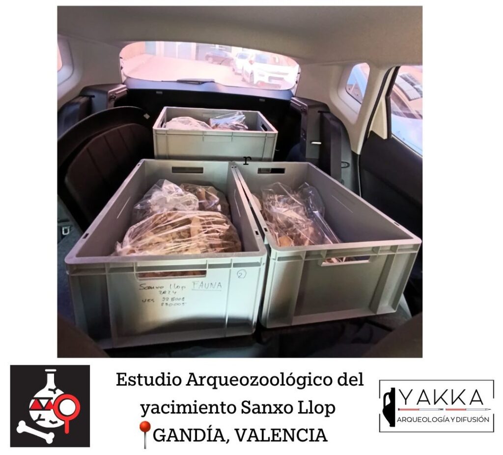 Yakka Arqueologia | servicios arqueologicos