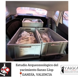 Yakka Arqueologia | Servicios arqueológicos