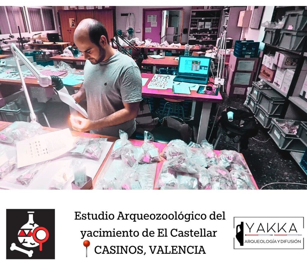 Yakka Arqueologia | servicios arqueologicos