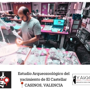 Yakka Arqueologia | Servicios arqueológicos