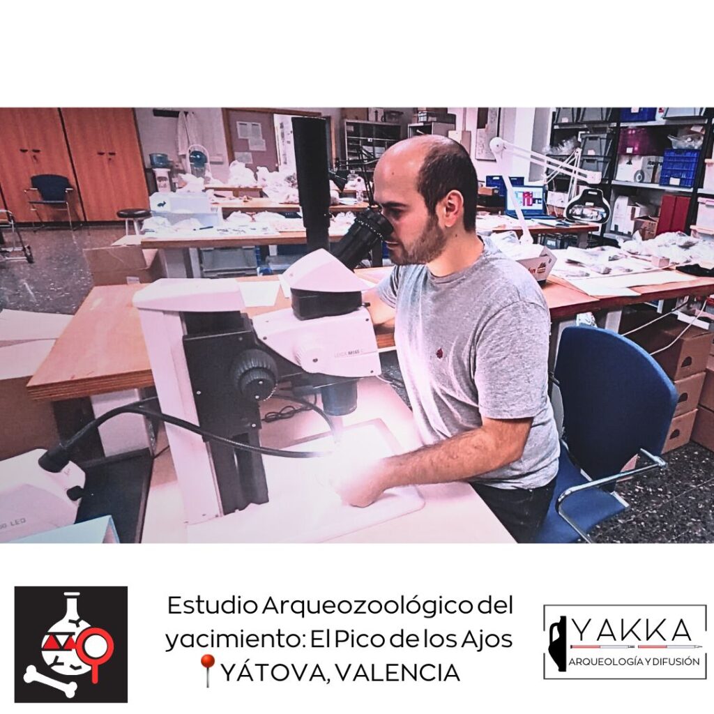 Yakka Arqueologia | servicios arqueologicos