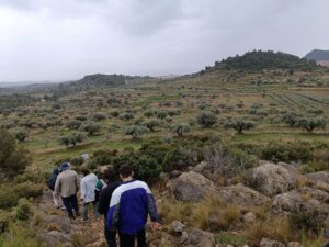 Yakka Arqueologia y Difusión | Visitas Guiadas